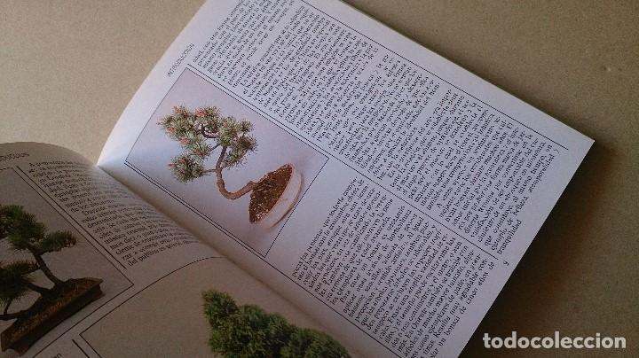 Libros de segunda mano: GUIA JARDIN BLUME BONDAI - Foto 2