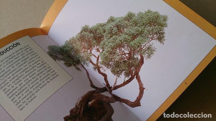 Libros de segunda mano: GUIA JARDIN BLUME BONDAI - Foto 3