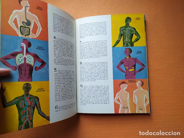Libros de segunda mano: EL CUERPO HUMANO BRUGUERA - Foto 4
