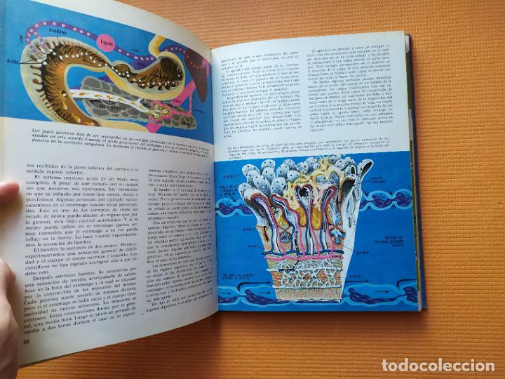 Libros de segunda mano: EL CUERPO HUMANO BRUGUERA - Foto 5