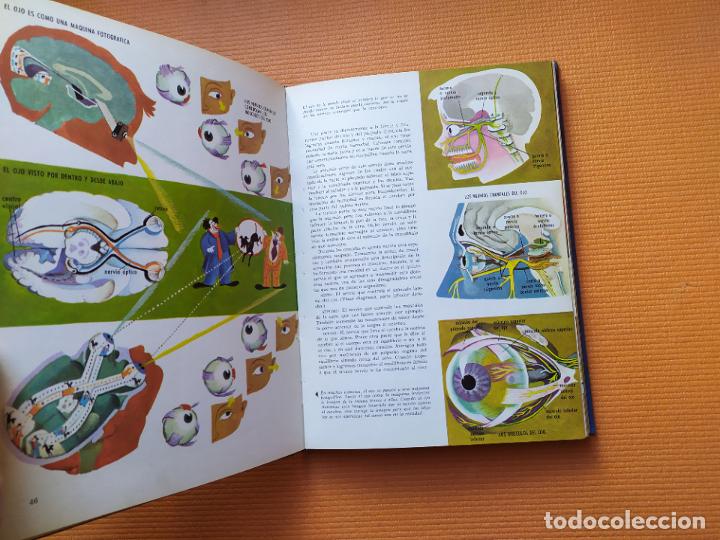 Libros de segunda mano: EL CUERPO HUMANO BRUGUERA - Foto 6