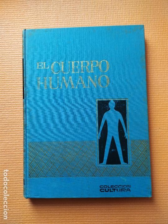 Libros de segunda mano: EL CUERPO HUMANO BRUGUERA - Foto 1