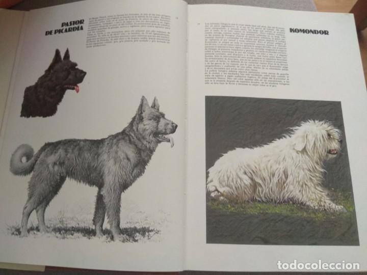 Libros de segunda mano: LAS RAZAS CANINAS DEL MUNDO - Foto 7