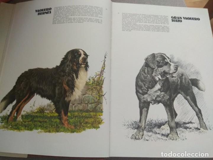 Libros de segunda mano: LAS RAZAS CANINAS DEL MUNDO - Foto 8
