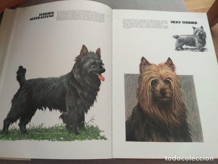 Libros de segunda mano: LAS RAZAS CANINAS DEL MUNDO - Foto 9