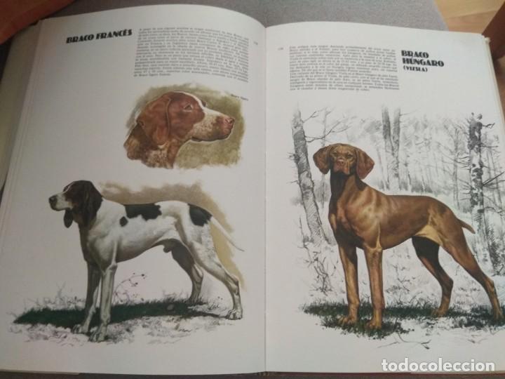 Libros de segunda mano: LAS RAZAS CANINAS DEL MUNDO - Foto 10