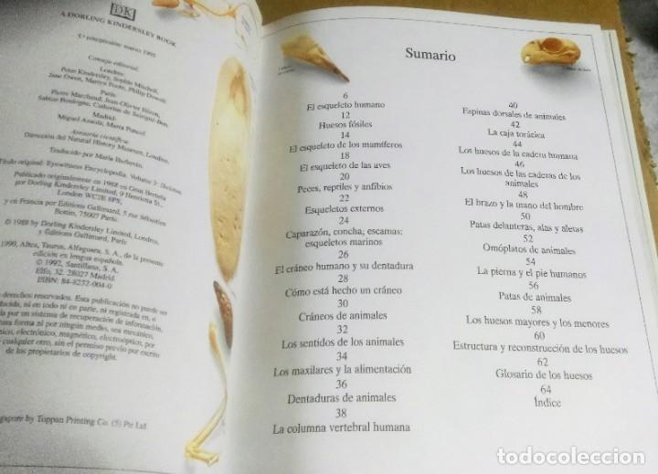 Libros de segunda mano: Esqueletos. Biblioteca visual Altea, Madrid, 1995 - Foto 5