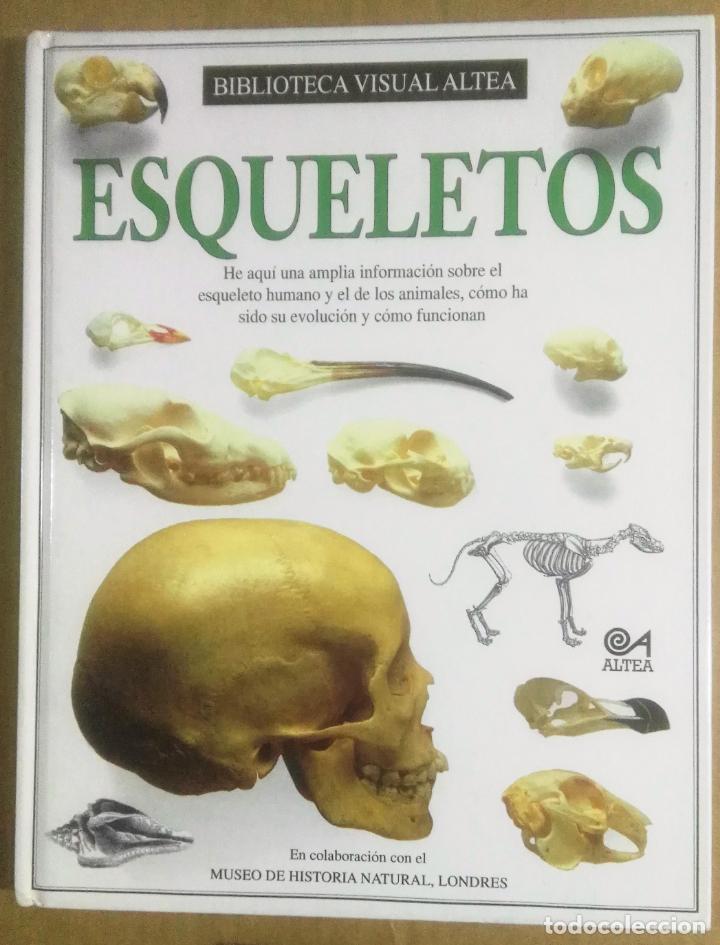 Libros de segunda mano: Esqueletos. Biblioteca visual Altea, Madrid, 1995 - Foto 1
