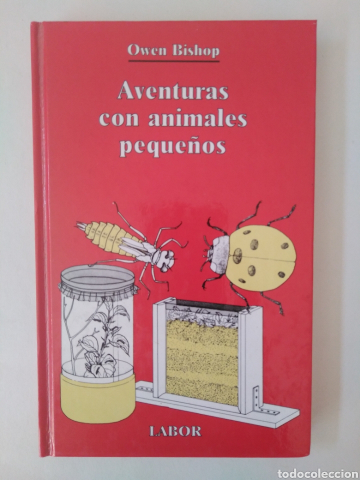 Libros de segunda mano: Aventuras con animales peque&ntilde;os / Owen Bishop - Foto 1