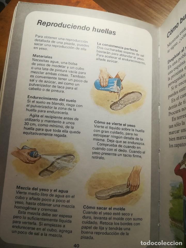 Libros de segunda mano: MANUAL DEL EXPERTO DETECTIVE EDITORIAL MOLINO 1980 - Foto 5