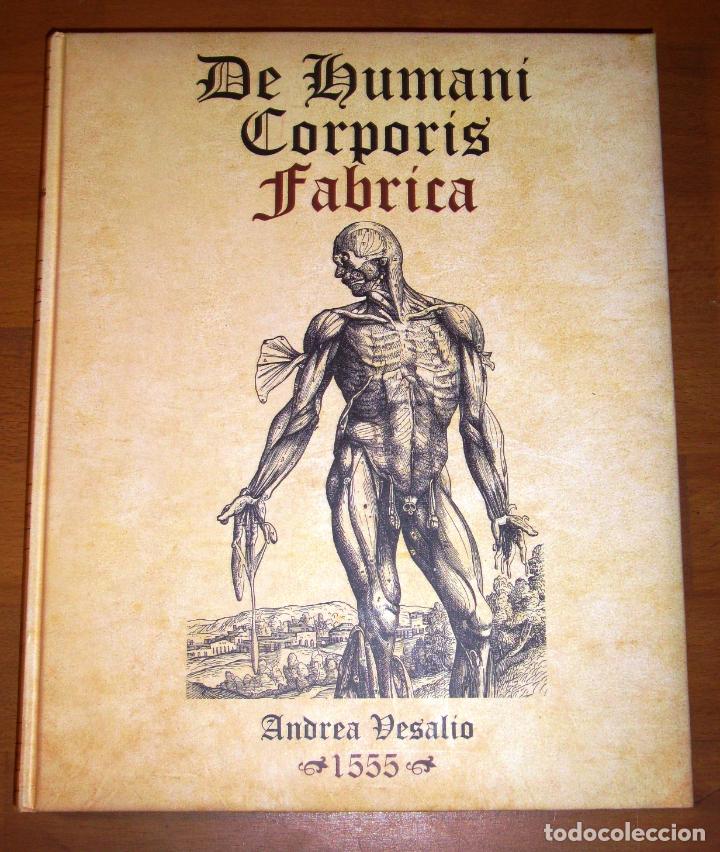 top 96+ Pictures the anatomist who revolutionized anatomy by writing de humani corporis fabrica was Updated