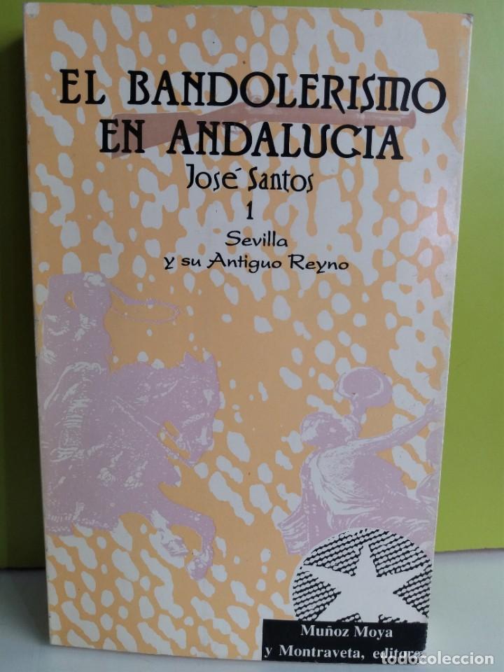 Libri di seconda mano: Bandolerismo y justicia en el antiguo reino de Sevilla. Tomo I