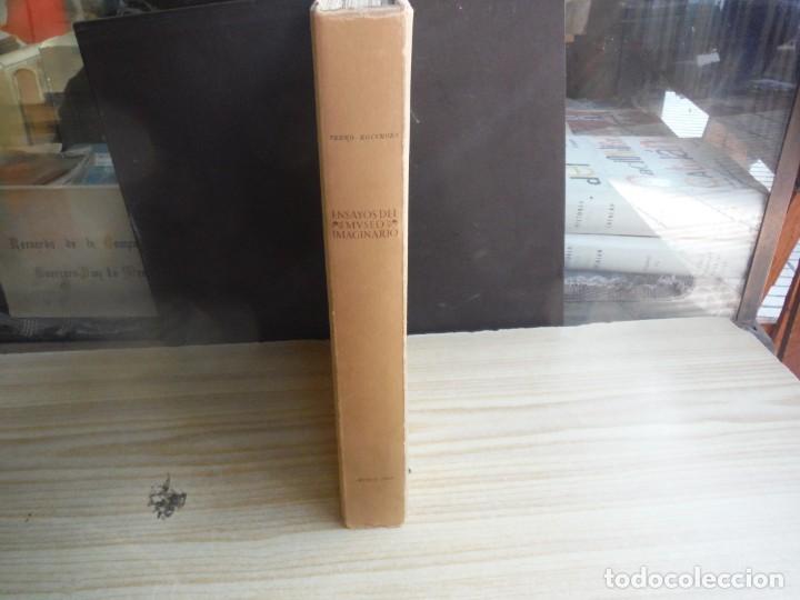 Libros de segunda mano: ROCAMORA, Pedro. - ENSAYOS DEL MUSEO IMAGINARIO - Foto 3