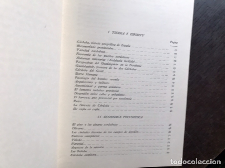Libros de segunda mano: Tierra y esp&iacute;ritu. Ricardo Molina - Foto 2