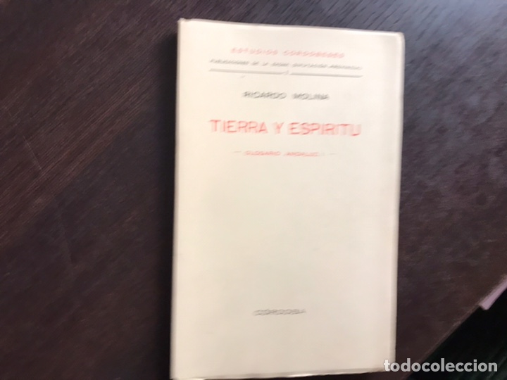 Libros de segunda mano: Tierra y esp&iacute;ritu. Ricardo Molina - Foto 1