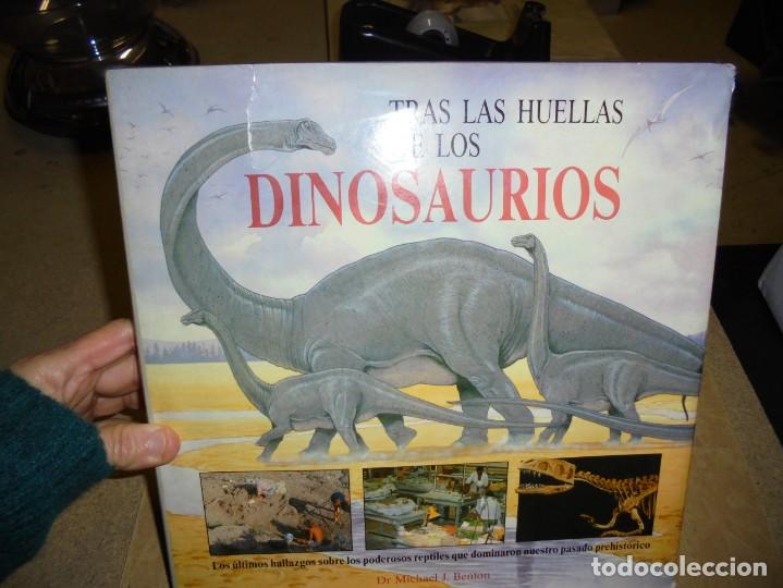 Libros de segunda mano: TRAS LAS HUELLAS DE LOS DINOSAURIOS - Foto 1