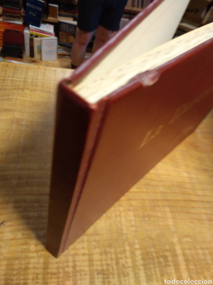 Libros de segunda mano: LA TAUROMAQUIA. GOYA #4455 - Foto 3