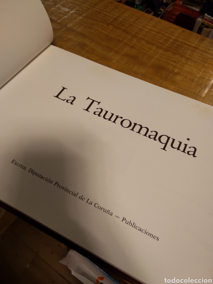 Libros de segunda mano: LA TAUROMAQUIA. GOYA #4455 - Foto 5
