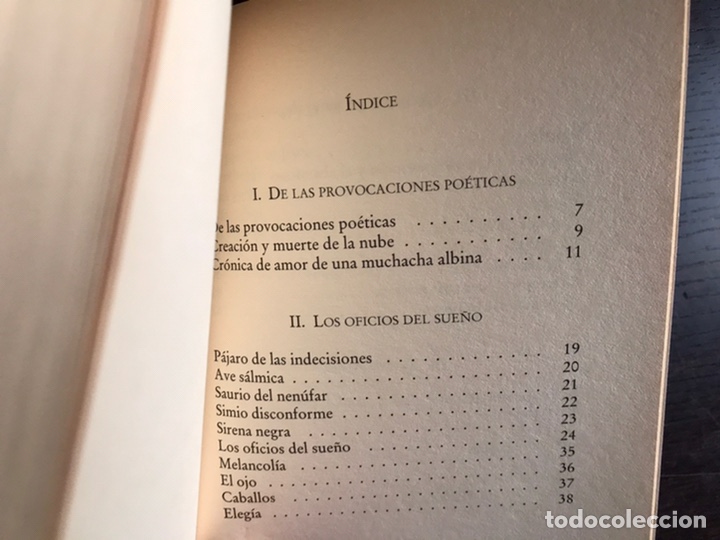 Libros de segunda mano: En ladr&oacute;n de atardeceres. Rafael P&eacute;rez Estrada - Foto 3