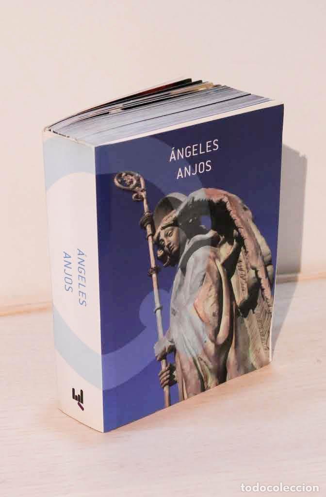 Libros de segunda mano: &Aacute;NGELES. ANJOS - DIMAN, Paz (textos) - Foto 2