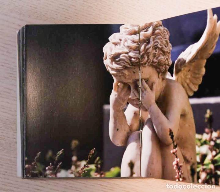 Libros de segunda mano: &Aacute;NGELES. ANJOS - DIMAN, Paz (textos) - Foto 3