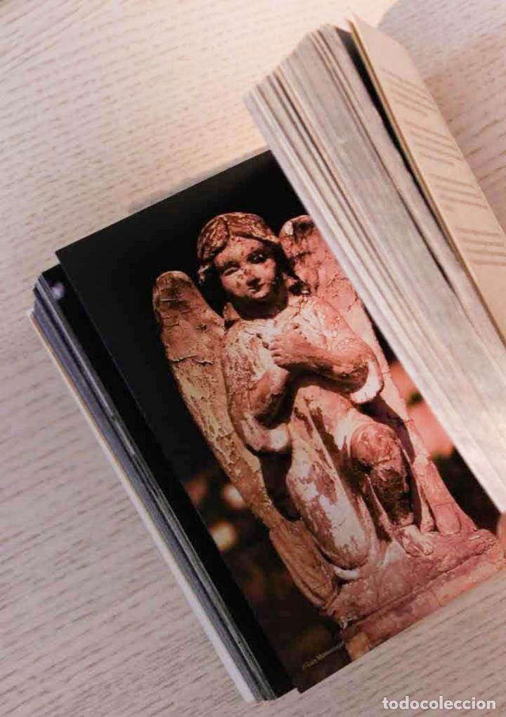 Libros de segunda mano: &Aacute;NGELES. ANJOS - DIMAN, Paz (textos) - Foto 5