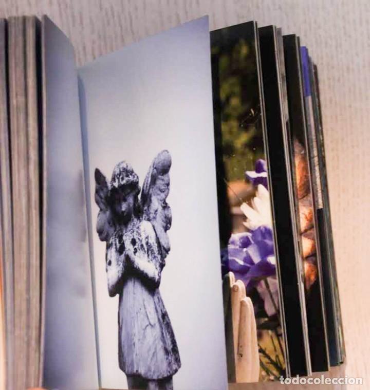 Libros de segunda mano: &Aacute;NGELES. ANJOS - DIMAN, Paz (textos) - Foto 7