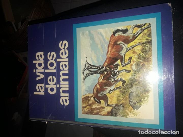 Libros de segunda mano: LA VIDA DE LOS ANIMALES - Foto 1
