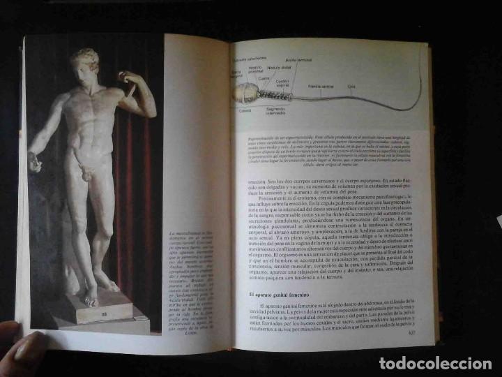 Libros de segunda mano: El libro de la vida sexual (L&oacute;pez Ibor) Ediciones Danae - Foto 6