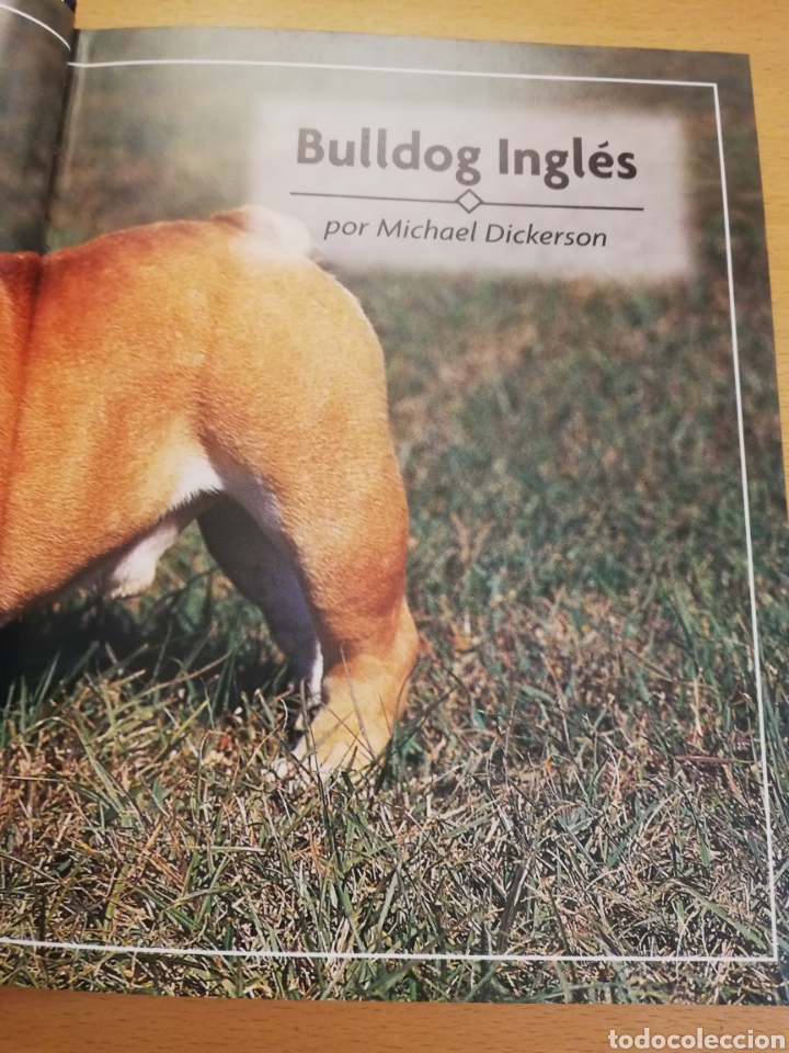 Libros de segunda mano: BULLDOG INGL&Eacute;S (M. DICKERSON) - Foto 2