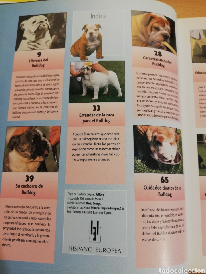 Libros de segunda mano: BULLDOG INGL&Eacute;S (M. DICKERSON) - Foto 3