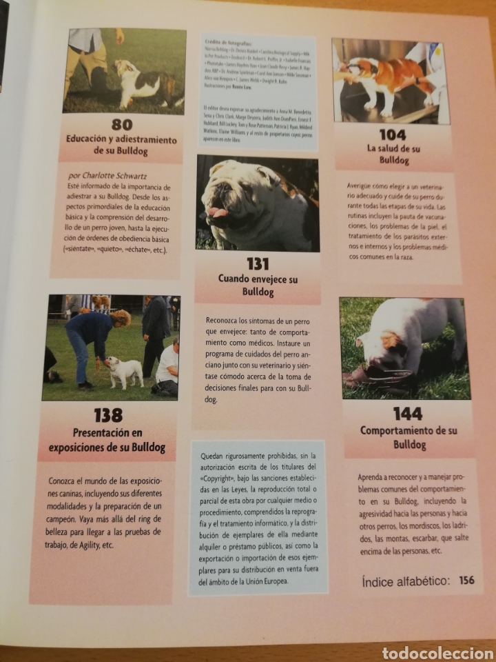 Libros de segunda mano: BULLDOG INGL&Eacute;S (M. DICKERSON) - Foto 4