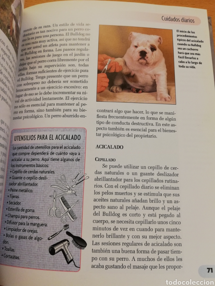 Libros de segunda mano: BULLDOG INGL&Eacute;S (M. DICKERSON) - Foto 5