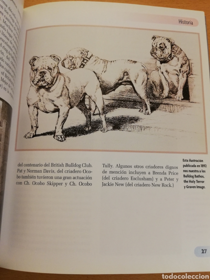 Libros de segunda mano: BULLDOG INGL&Eacute;S (M. DICKERSON) - Foto 6