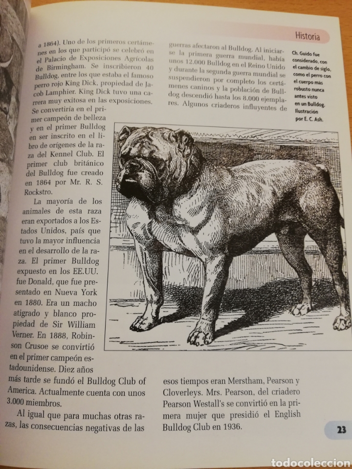 Libros de segunda mano: BULLDOG INGL&Eacute;S (M. DICKERSON) - Foto 7