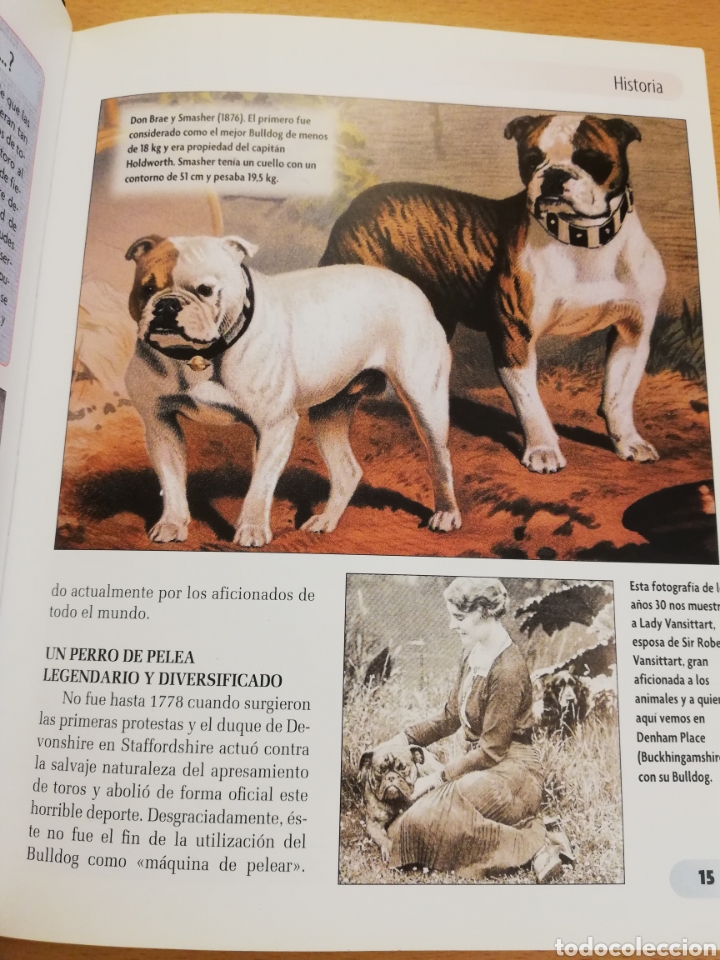 Libros de segunda mano: BULLDOG INGL&Eacute;S (M. DICKERSON) - Foto 8
