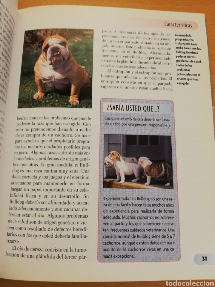 Libros de segunda mano: BULLDOG INGL&Eacute;S (M. DICKERSON) - Foto 9