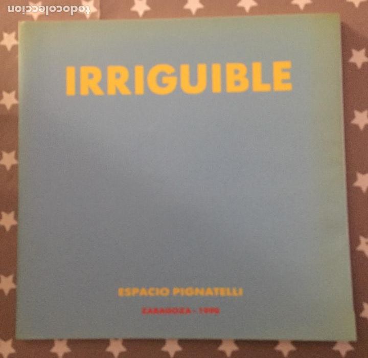 Libros de segunda mano: IRRIGUIBLE, Catalogo Espacio Pignatelli - Foto 1