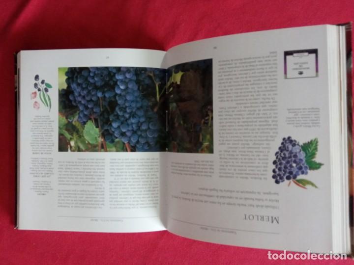 Libros de segunda mano: Vinos del mundo.TIKAL 2010. - Foto 4