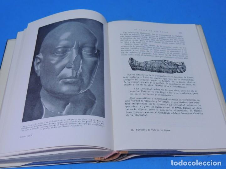 Libros de segunda mano: EL VALLE DE LOS REYES.- Neubert, O. - Foto 11