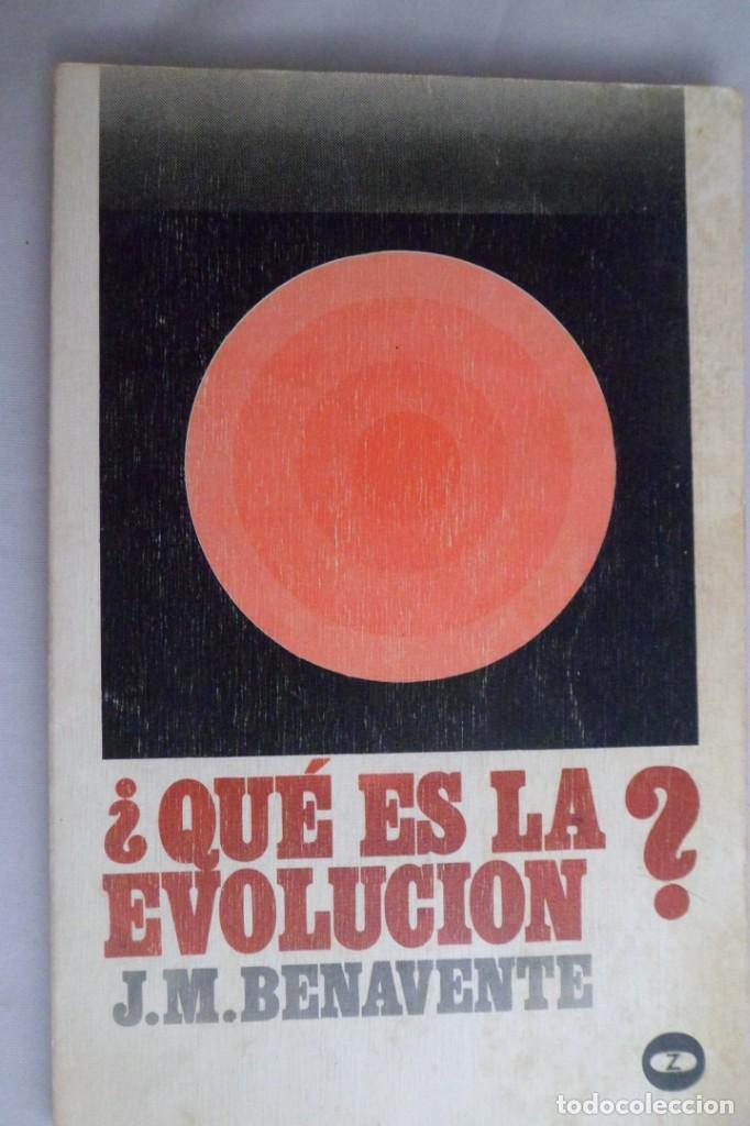 Libros de segunda mano: &iquest;QU&Eacute; ES LA EVOLUCI&Oacute;N? J. M. BENAVENTE - Foto 1
