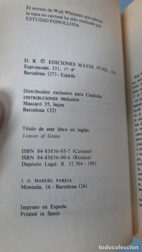 Libros de segunda mano: HOLAS DE HIERBA. WILTMANN - Foto 2
