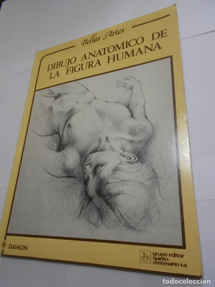 Libri di seconda mano: ANTIGUO LIBRO - DIBUJO ANATOMICO DE LA FIGURA HUMANA