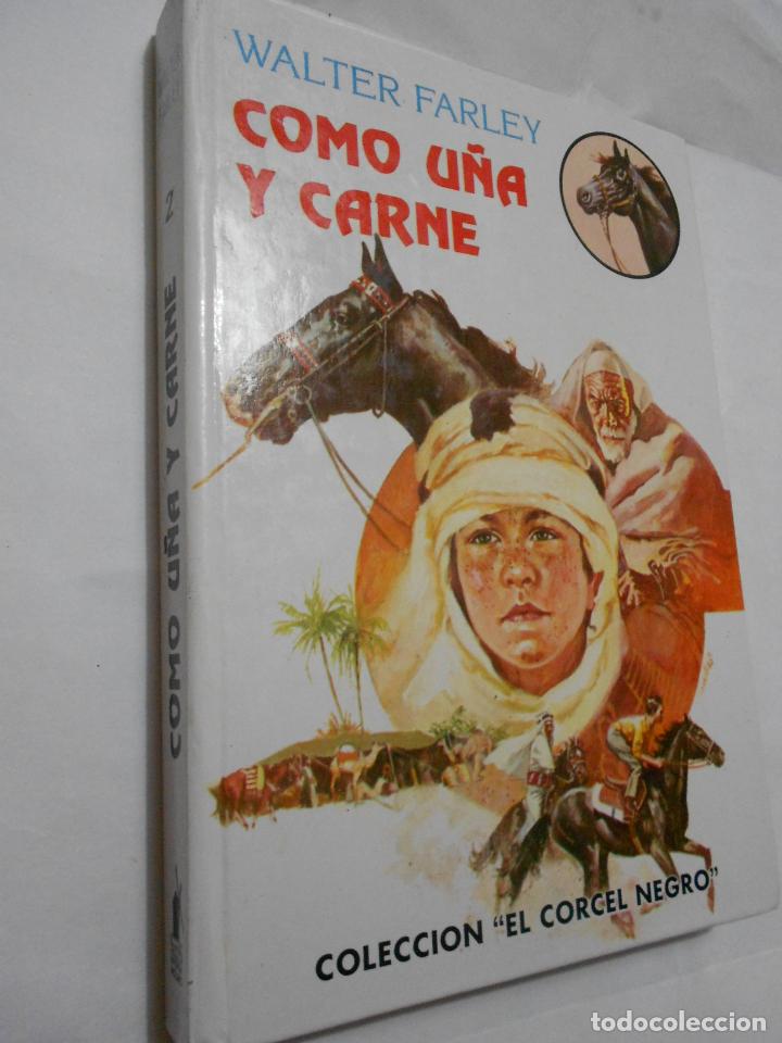 Libros de segunda mano: COMO U&Ntilde;A Y CARNE - CG7 - Foto 1
