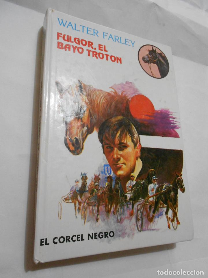 Libros de segunda mano: FULGOR, EL BAYO TROTON - CG7 - Foto 1