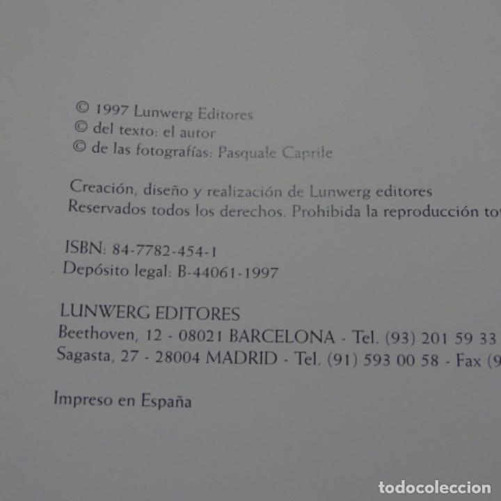 Libros de segunda mano: Restaurantes favoritos en madrid.1997. - Foto 5