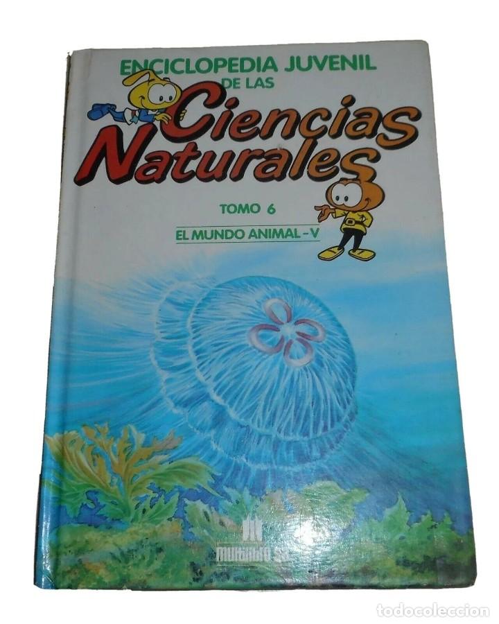 Libros de segunda mano: ENCICLOPEDIA JUVENIL DE LAS CIENCIAS NATURALES EL MUNDO ANIMAL V TOMO 6 MULTILIBRO S.A 1986
