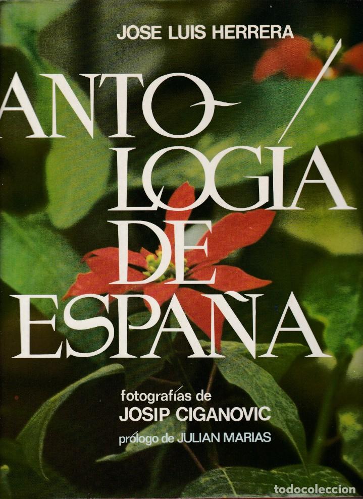Libros de segunda mano: ANTOLOGIA DE ESPA&Ntilde;A - JOSE LUIS HERRERA - CIRCULO DE LECTORES 1982 - Foto 1