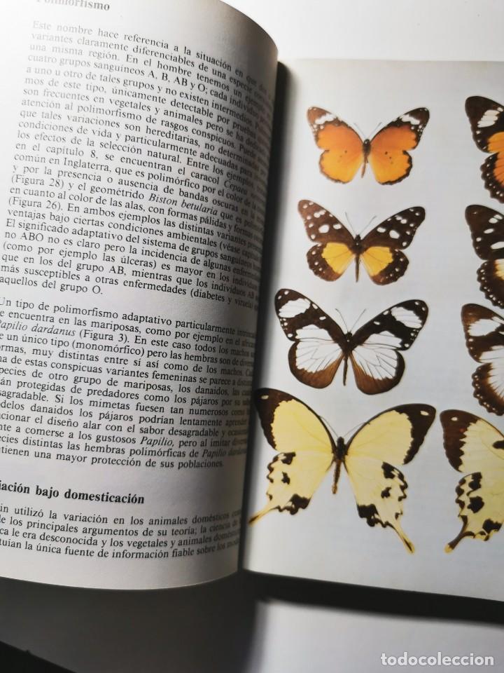 Libros de segunda mano: EVOLUCI&Oacute;N. LA TEOR&Iacute;A DE DARWIN HOY. (COLIN PATTERSON) - Foto 2