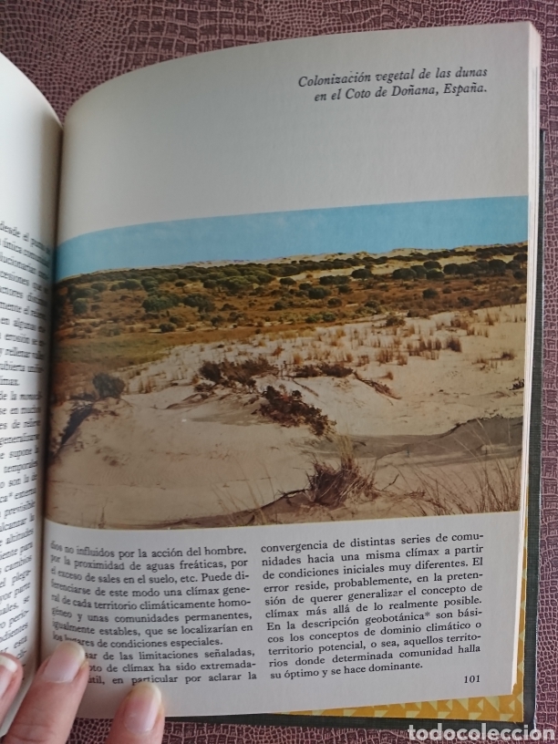 Libros de segunda mano: La ecolog&iacute;a - Foto 3